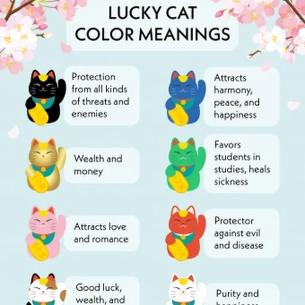 Meet Ah Heng, Ah Ong & Ah Huat 🧧🍊
Three Lucky black kittens looking for a foster (about a week) or a...